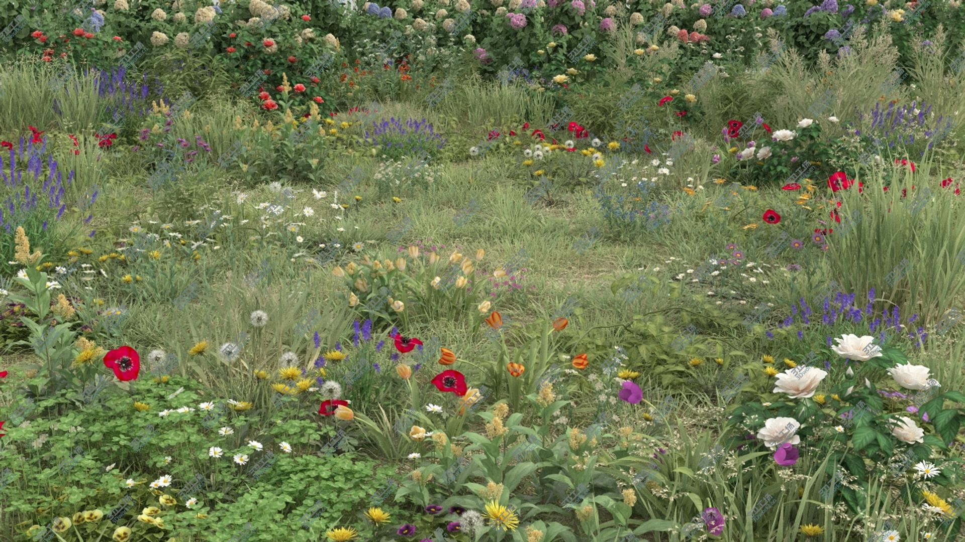 images/goods_img/2021040231/3D 20-20 Ground Plants/2.jpg